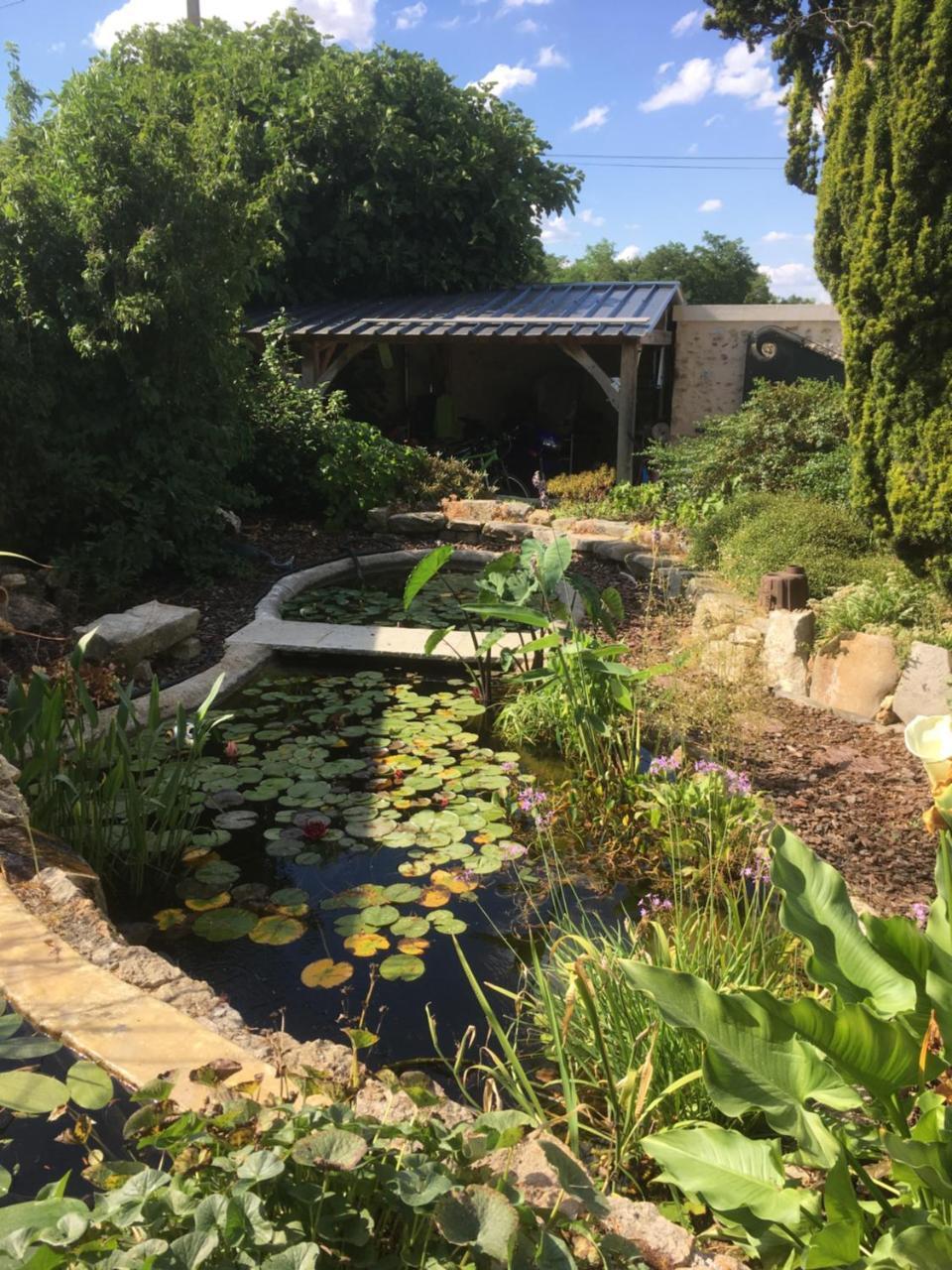 Maison D'Hotes Les Rainettes Breuillet  Εξωτερικό φωτογραφία